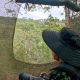 people observing animals in the Macaws Sanctuary